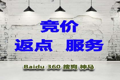百度推广实战技巧：案例详解